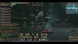 Imperial Tomb AOE first attempt no destro Lineage 2 Reborn