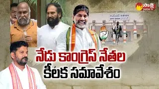 TPCC Revanth Reddy to Hold Meeting Party Issues | Sakshi TV