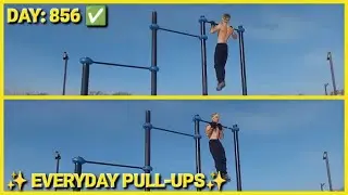 365 Days? No — 856 Days of Non-Stop Pull-Ups