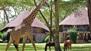 THORNY TRAILS AROUND SOUTH LAKE  TO KENGEN !!!