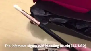 Sigma Unboxing: Cashmere Classic Brush Set