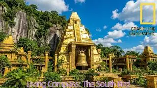 Living Compass: The South Bird and the Secrets of Jaya Island - One Piece Creature Documentary