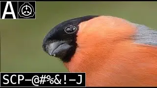 SCP-@#%&!-J 
