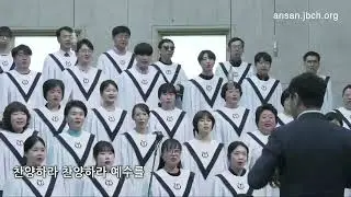 꽃들도