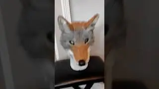 Coyote mask commission! #therianmask #therian #coyote #coyotetherian #mask #realistic #masks