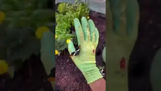 Garden gloves | WorkGlovesDepot online on tiktok shop