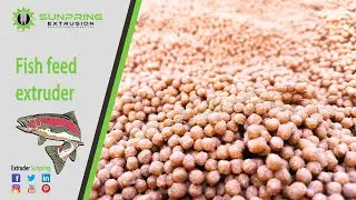 Fish Feed Extrusion Machine/Floating fish feed pellet extruder machine | SunPring&reg;