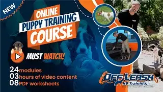 🆕 Online Puppy Training Course | First Week Puppy Training | Must See 😮