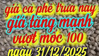 giá cà phê trưa nay ngày 31/12/2025