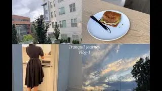 Tranquil Days in my life | Exploring Boston | Engaging in house hold activities | Cooking