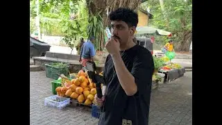 سنابات تي يو | معاذ اليوم الاول والثاني في سريلانكا 🇱🇰 🌱 