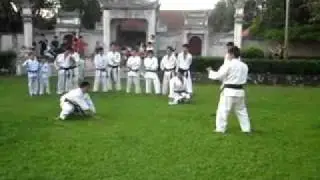 karate dong anh thinlaanh