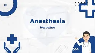 Nerveline - Anesthesia (Official Audio)