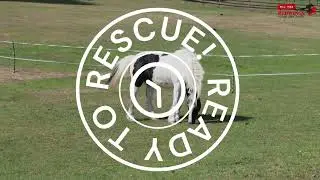 Ready to Rescue: Tom