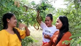 Let's Visiting Tamarind Farm Svay Leur district Siem Reap Cambodia.