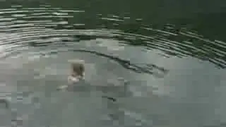 Raystown Wakeboarding