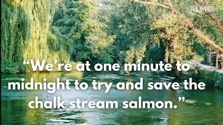One Minute to Midnight: Saving England&rsquo;s Chalk Stream Salmon