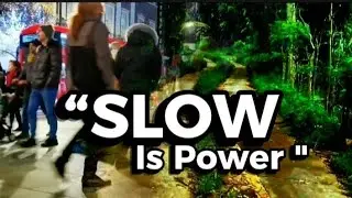 Lessons About Life You Only Learn When You Slow Down #SlowLiving#LifeReflection#InnerPeace