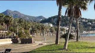 MALAGA LIVE ( January 15, 2026)