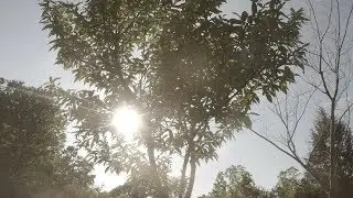 Epic Timelapse - Spring 2018