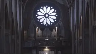 Carlot-ta | Sparrow (Live Version)