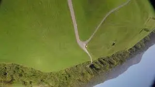 FPVFrame.ch FlowX Trees