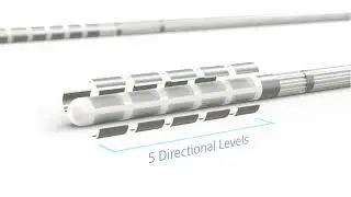 Vercise&trade; Cartesia&trade; X & Cartesia&trade; HX Leads Animation