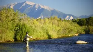 Fly Fishing Gold Medal Waters Arkansas River Buena Vista % Salida, Colorado