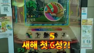 포켓몬가오레! 새해 첫 5성은?!
