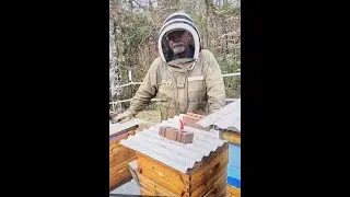 PART 2 PAUL'S FANTASTIC BEES!  More how-to tips on SHBs, winter feeding, sugar boards.