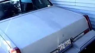1981 Cutlass supreme interior and carpet