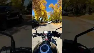WAIT TILL THE END!!! Autmn falls 2k23!! #yyc #calgary #alberta #autmn #halloween #september
