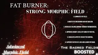 Fat BURNER (Intense Morphic Field)