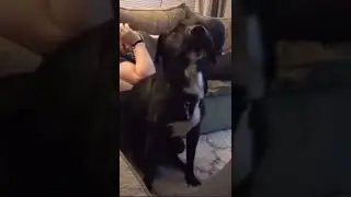 He Got Some Moves 😂❤️