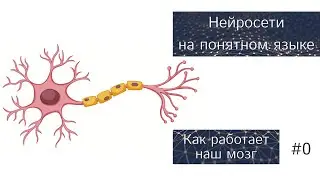 Нейронные Сети на Понятном Языке | Введение в курс | #0