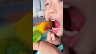 New video Trending Video #nityamexpress #shors #viralvideo