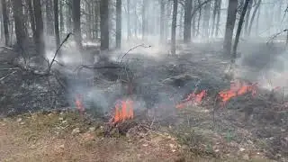 Fire season 2021