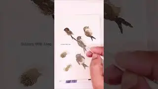 Creative 😎 Watercolour hacks 🤩! #art #painting #watercolor #creative #hack #shorts