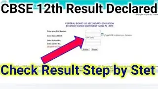 CBSE Board Result 2019//12th Result Declare//How To Check Result 2019