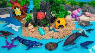 [Toy ASMR] 🦈 RC Shark & Sea Animals Collection | Satisfying With Unboxing | Review Toys