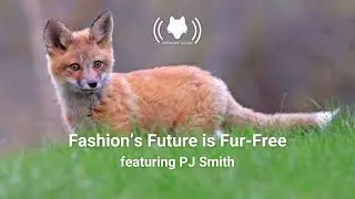 Fashion's Future is Fur-Free featuring PJ Smith