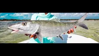 The Best Bonefishing Bahamas is South Andros Bonefishing | Bonefishing in The Bahamas