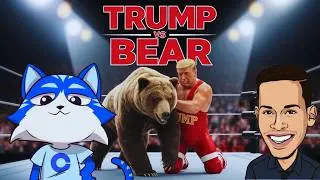 Toshi & Bitcoin Price Update April 2025: Key Resistance Showdown!
