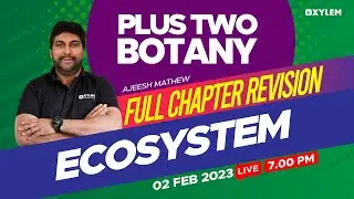 Plus Two - Botany - Ecosystem | Full Chapter Revision | XYLEM +1 +2