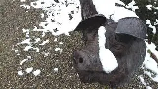 la bassa parmense