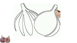 Silent Black and White Sketch: Drawing a Realistic Fig