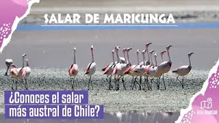 El Salar de Maricunga
