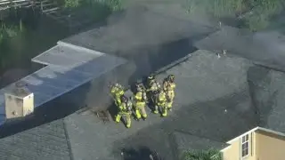Dog rescued from house fire near Homestead, two cats didn't survive