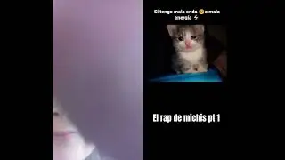4 patitas