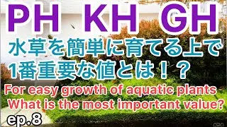 ほとんどの水草を健康的に育てることが可能な水質！ep.8［Water quality that allows most aquatic plants to grow healthy!］【アクアリウム】